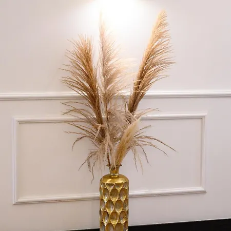 Boutique Maison Only Affittacamere